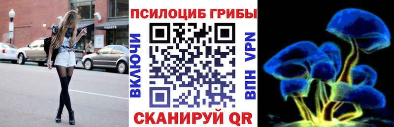 где купить   Мариинский Посад  Галлюциногенные грибы Psilocybine cubensis 